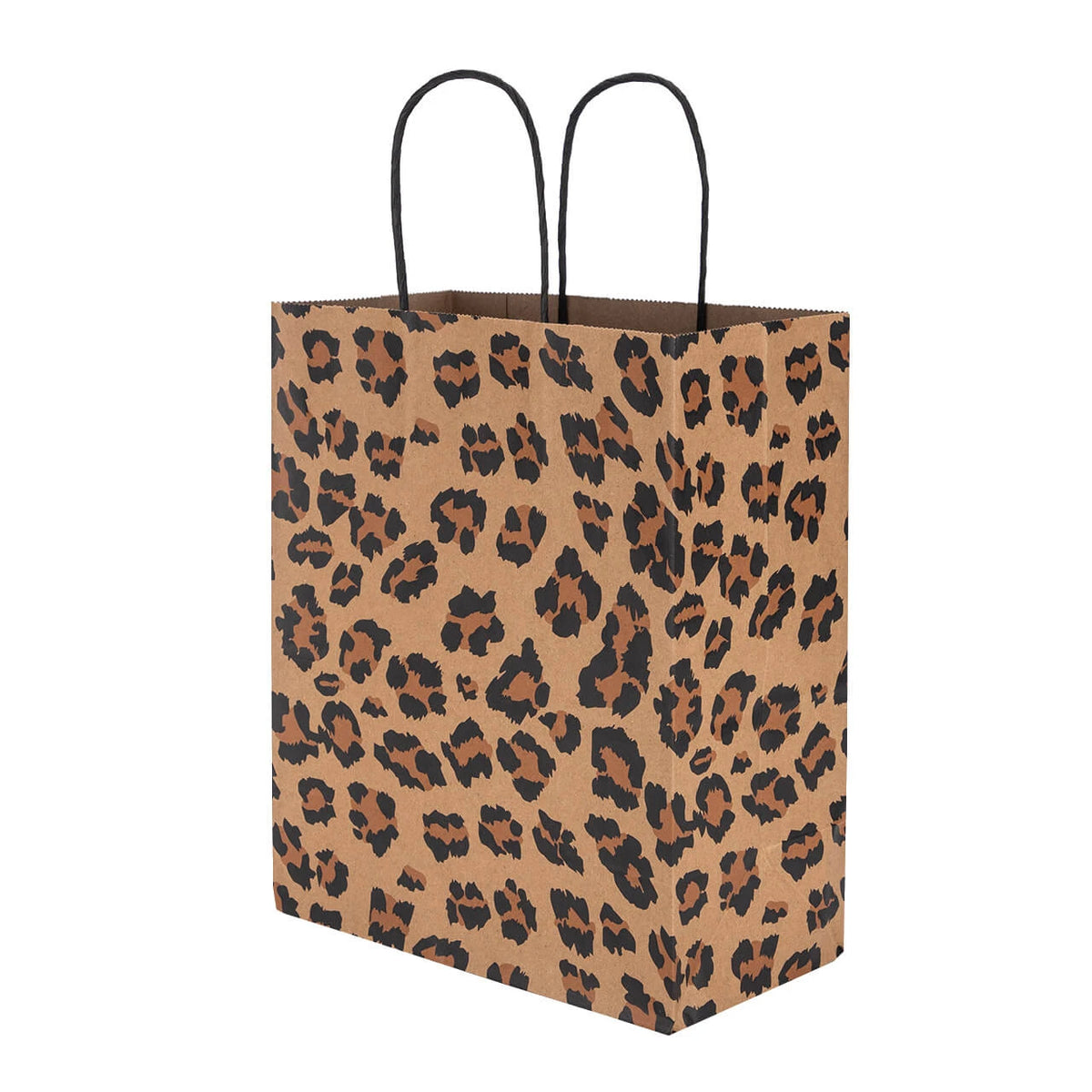 SKH Holiday Gift Bag