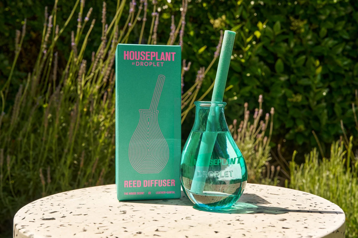 Houseplant Droplet Reed Diffuser pre order