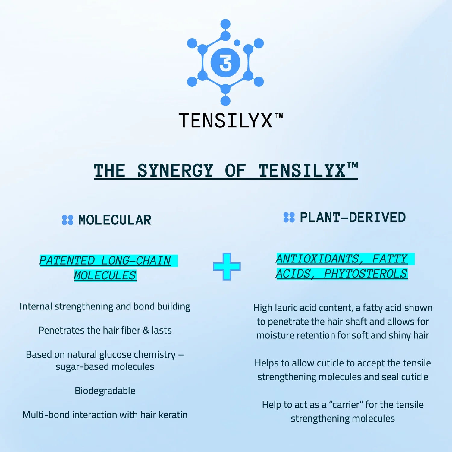 TS.02/Tt : Tensile Strength Hair Treatment Mask