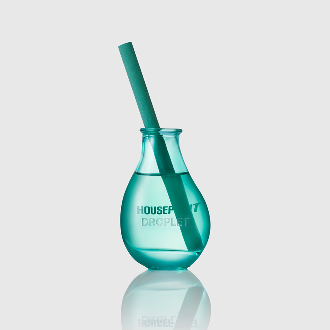 Houseplant Droplet Reed Diffuser