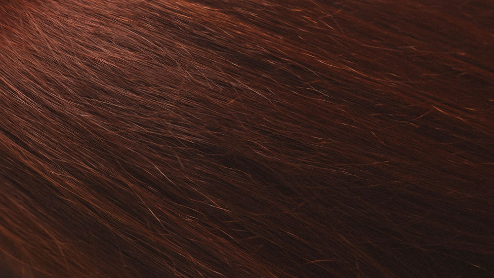 Sarah Kahn Hair